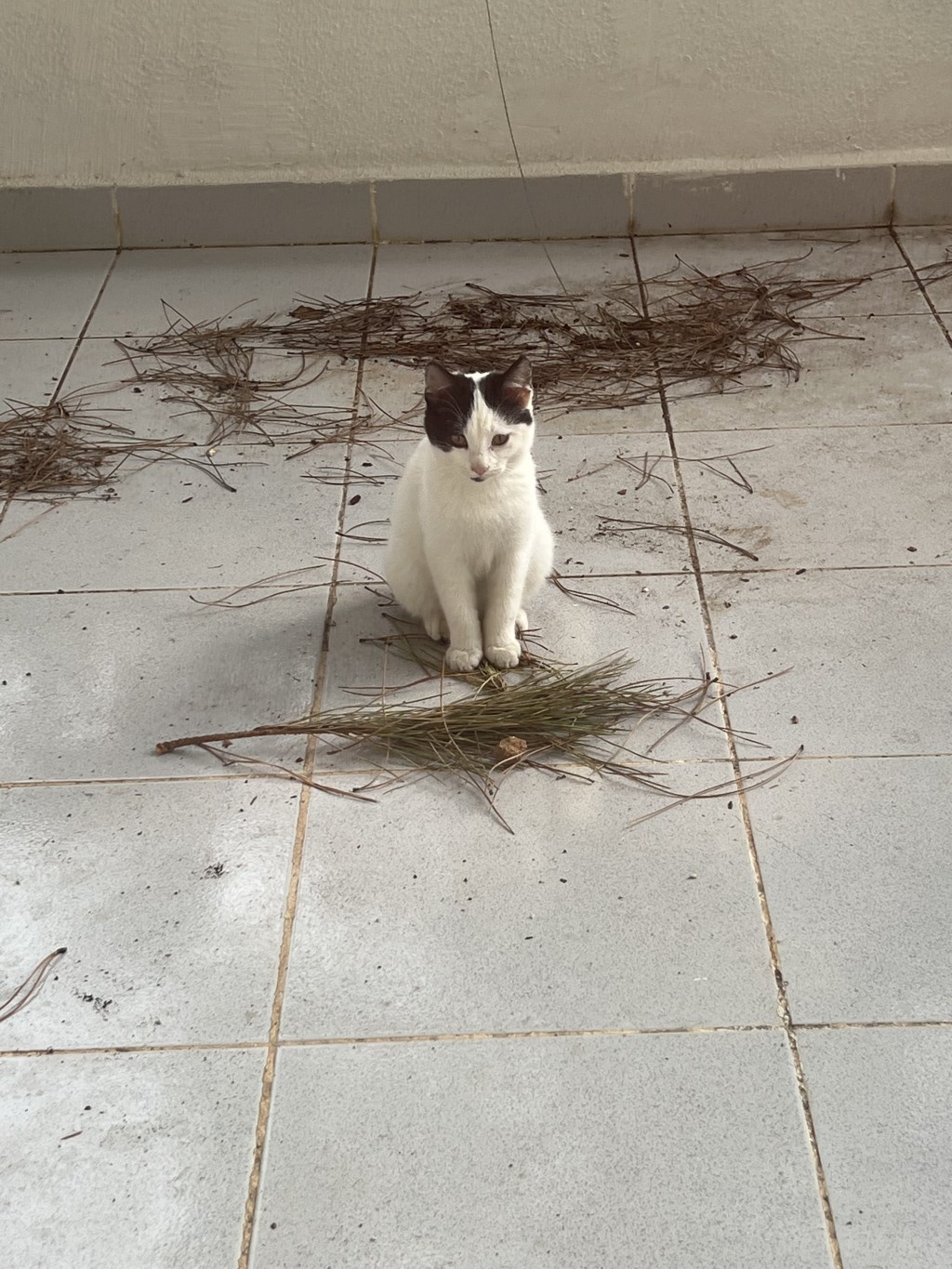 The second before&nbsp;escape